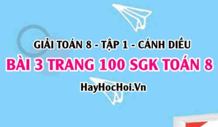 Giải bài 3 trang 100 Toán 8 Tập 1 SGK Cánh Diều